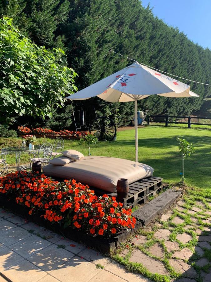 Agroturismo Anziola Oiartzun Kültér fotó