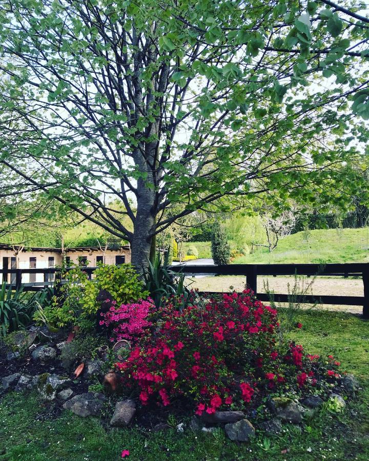 Agroturismo Anziola Oiartzun Kültér fotó