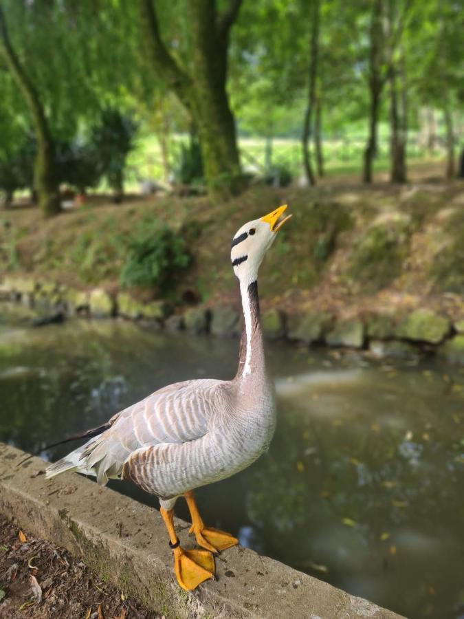 Agroturismo Anziola Villa Oiartzun Kültér fotó